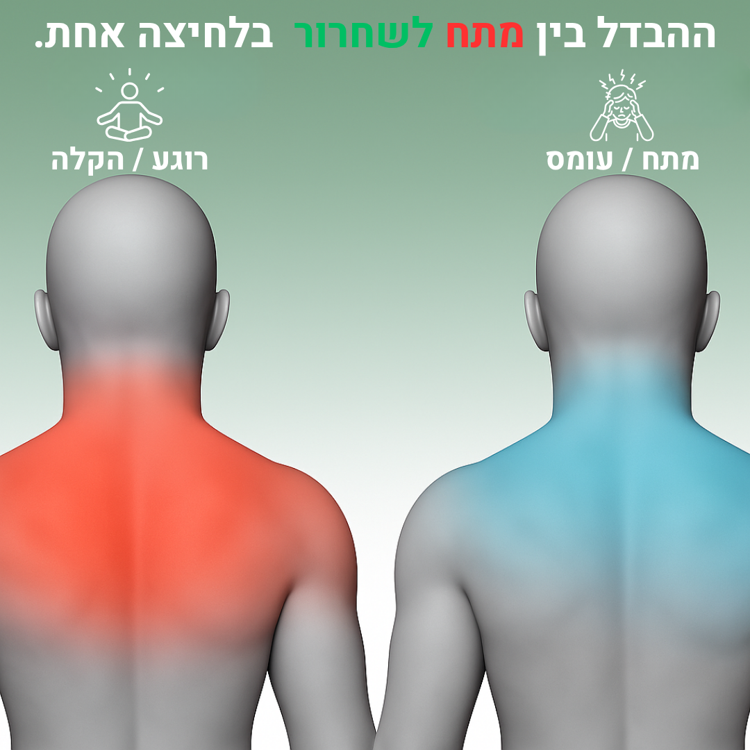 מכשיר העיסוי ZenTouch